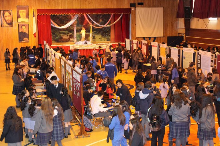 Importante presencia de proyectos medioambientales en Feria Científica Escolar de Puerto Natales