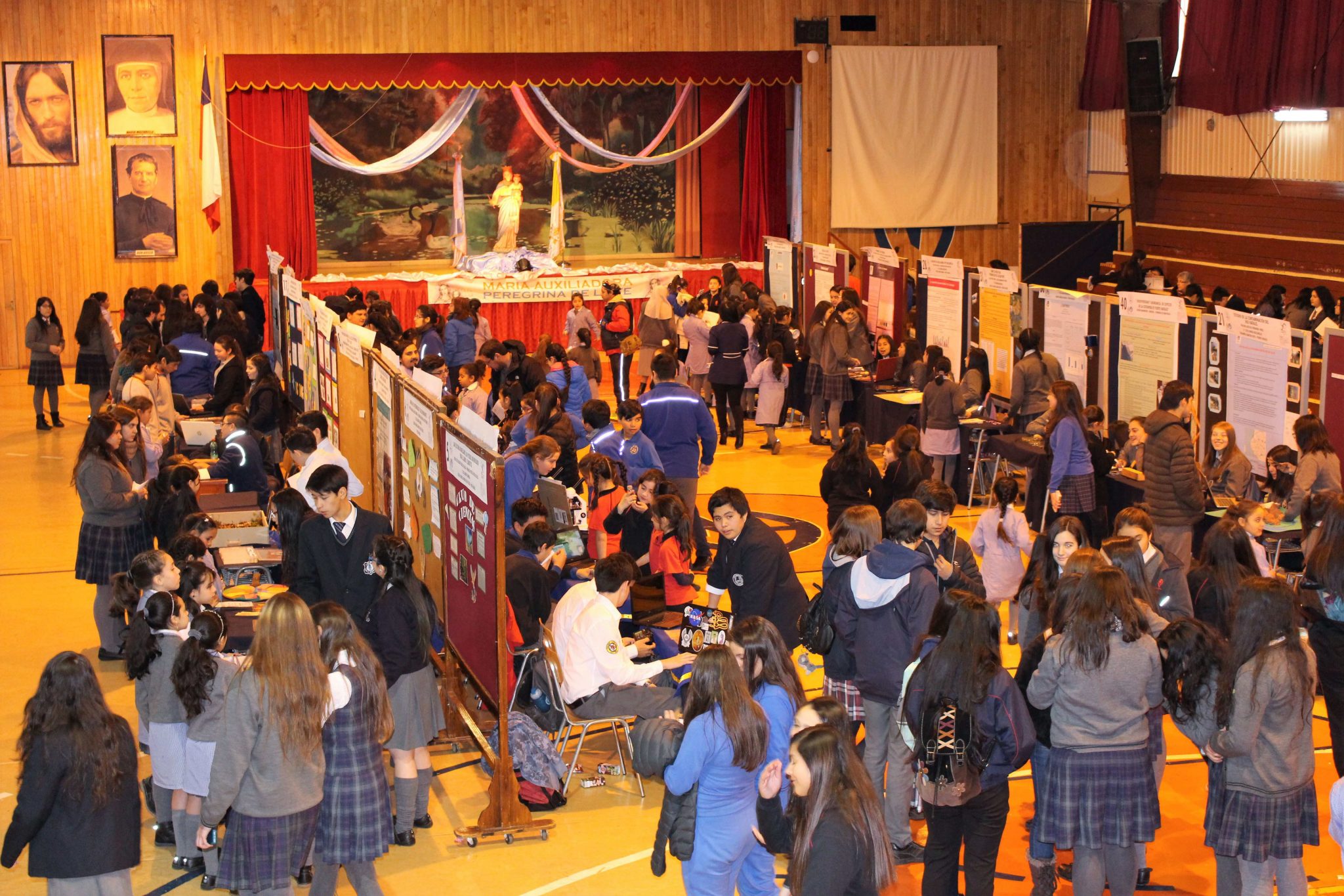 Importante presencia de proyectos medioambientales en Feria Científica Escolar de Puerto Natales
