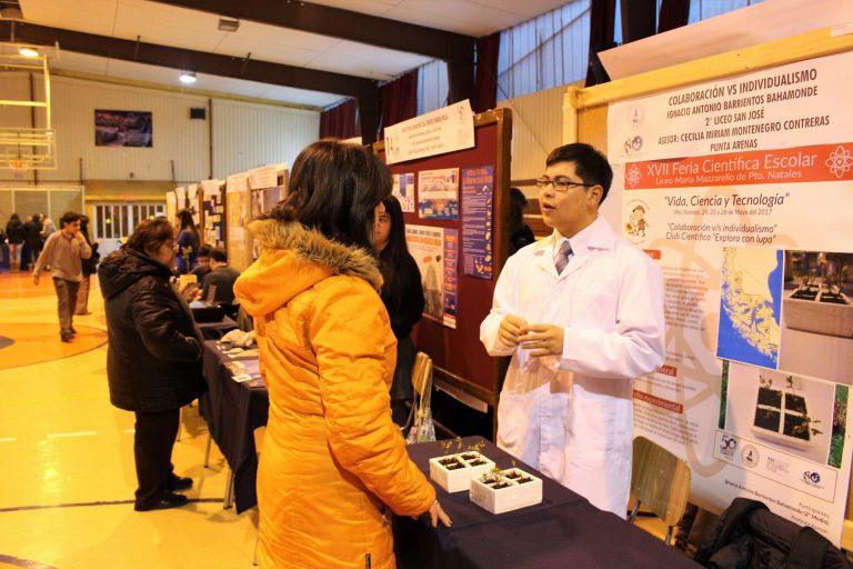 Conoce algunos de los proyectos que se presentaron en la Feria Científica Escolar de Puerto Natales