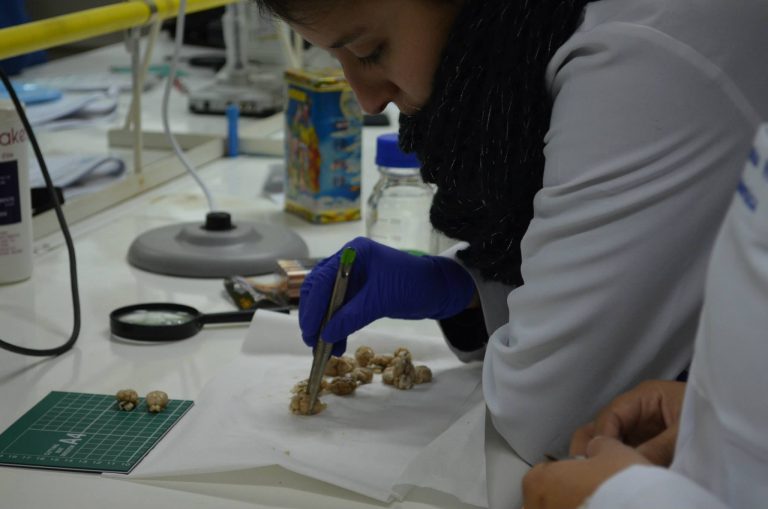 Aún quedan cupos diponibles para participar en los Talleres de Invierno