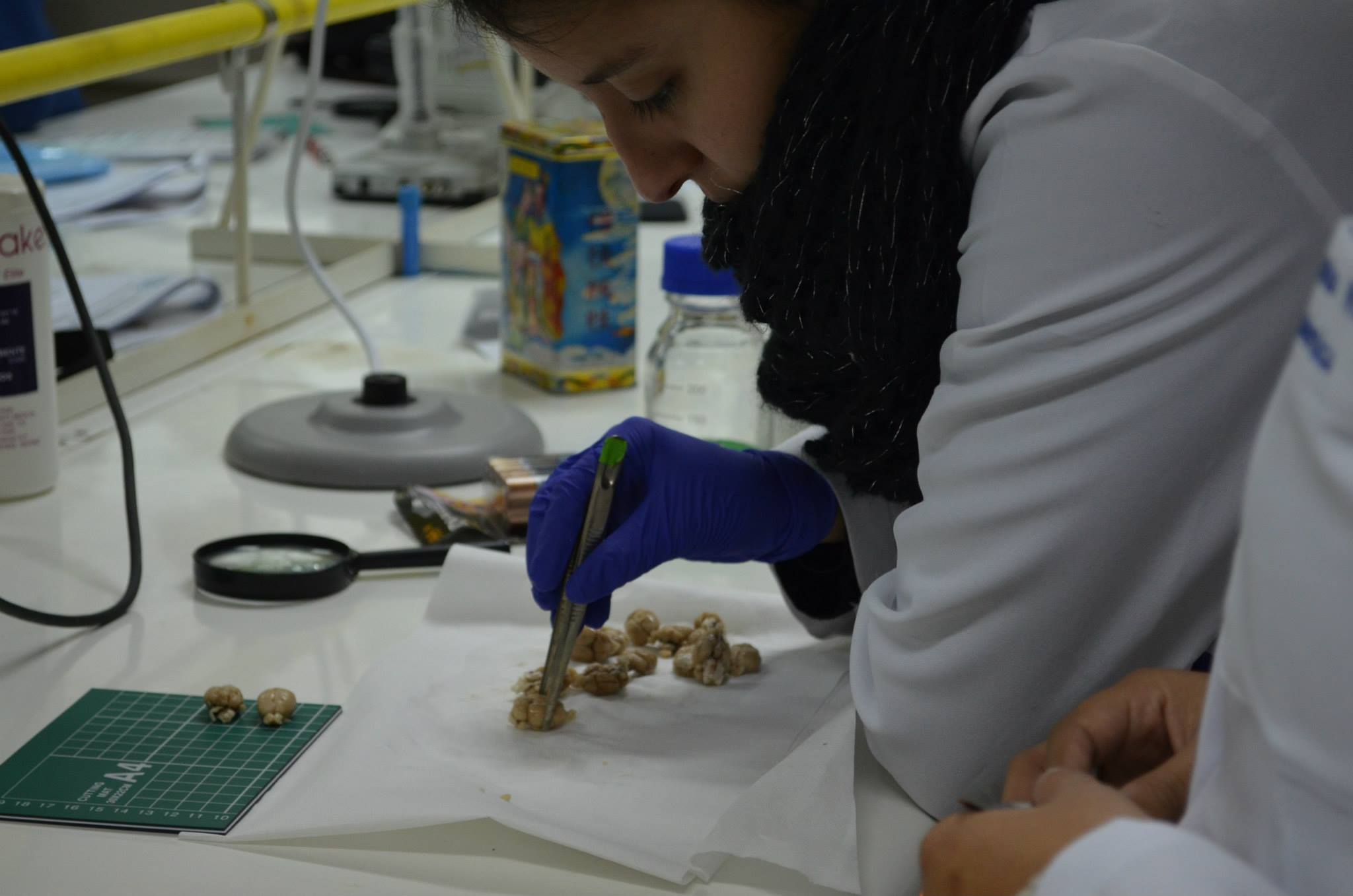 Aún quedan cupos diponibles para participar en los Talleres de Invierno