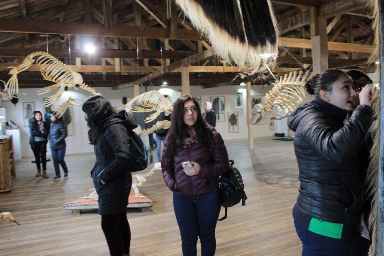 Estudiantes de Biología Marina conocieron la labor de rescate de esqueletos de especies magallánicas en el Museo de Historia Natural de Río Seco