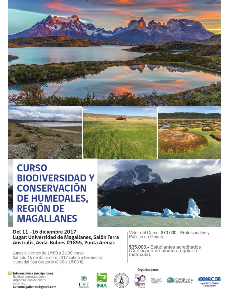 Invitan a participar del curso Biodiversidad y Conservación de Humedales en la Región de Magallanes