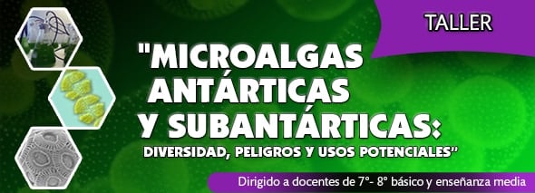 Invitación a participar del Taller para Profesores “Microalgas Antárticas y subantárticas: diversidad, peligros y usos potenciales”