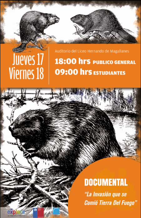 Premiado documental sobre la corrosiva invasión de castores en Tierra del Fuego se exhibirá en Porvenir