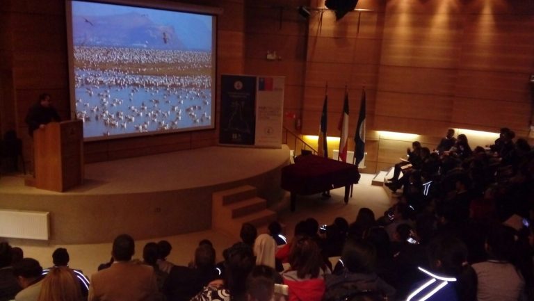 PAR Explora Magallanes premió a ganadores de concursos artísticos