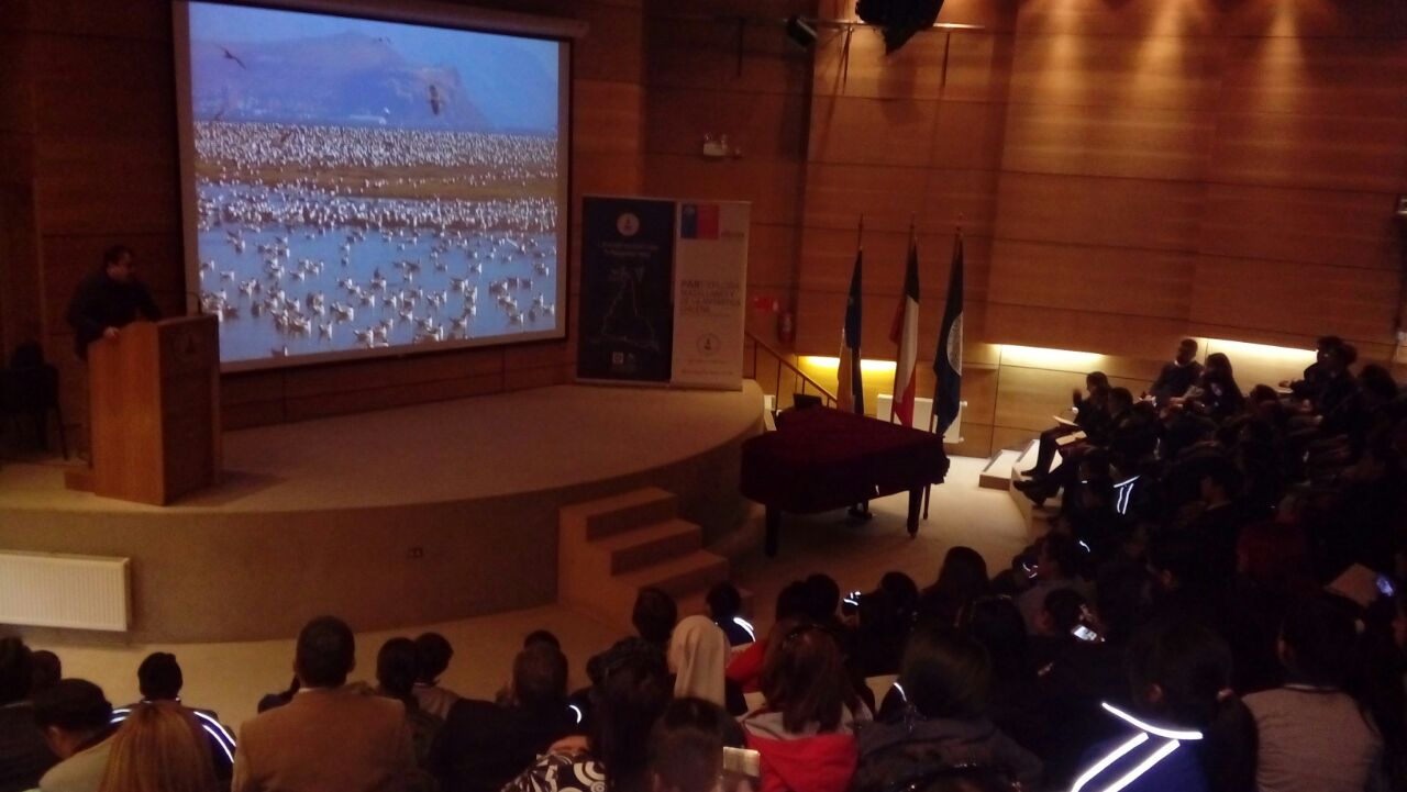 PAR Explora Magallanes premió a ganadores de concursos artísticos