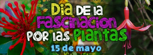 Día de la Fascinación por las Plantas