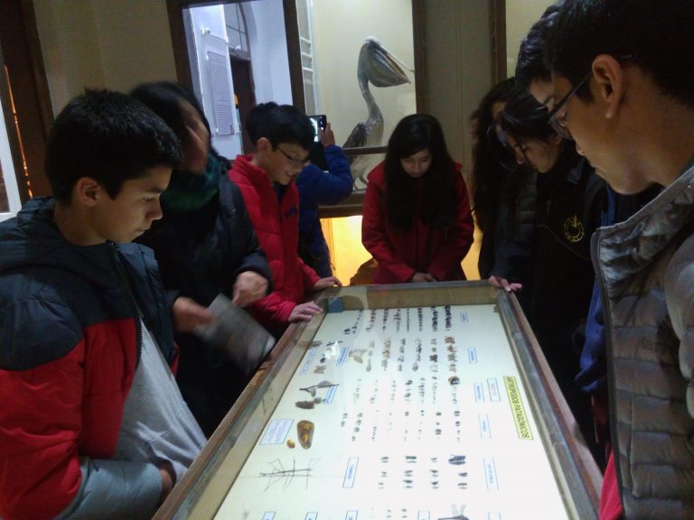 Participantes del Taller “Antártica, Continente Sorprendente” realizaron visita educativa al Museo Maggiorino Borgatello