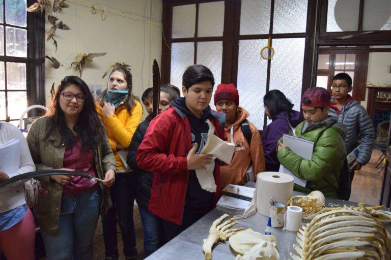 Jóvenes participantes del taller “Los que vuelan y los que nadan” conocieron Museo de Historia Natural de Río Seco