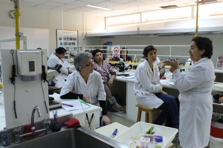 Docentes magallánicos participaron en capacitación sobre uso de microscopios