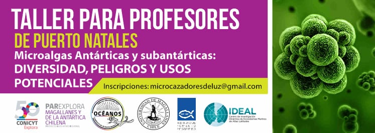 ¡Atención profesores de Puerto Natales! Abiertas inscripciones para taller “Microalgas Antárticas y subantárticas: diversidad, peligros y usos potenciales”