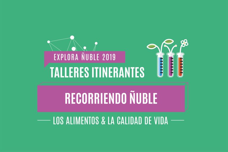 Talleres itinerantes “Recorriendo Ñuble”