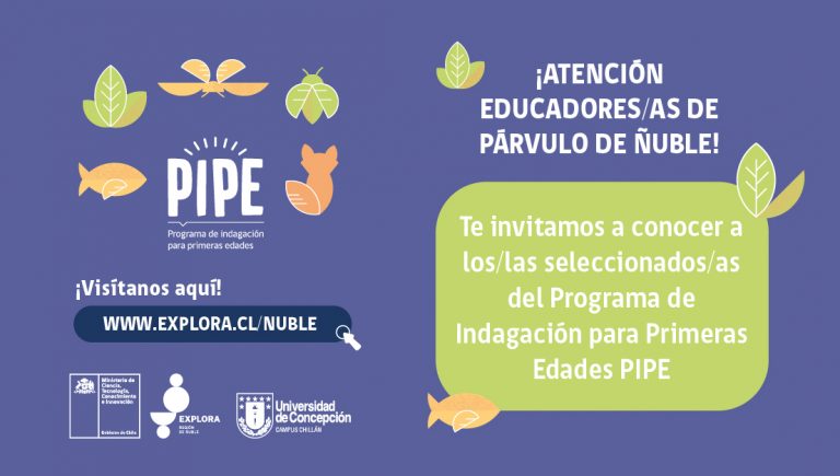 Te invitamos a conocer a las seleccionadas de la segunda versión del Programa de Indagación para Primeras Edades (PIPE)