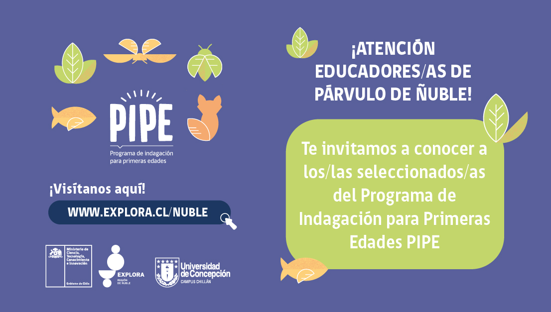 Te invitamos a conocer a las seleccionadas de la segunda versión del Programa de Indagación para Primeras Edades (PIPE)