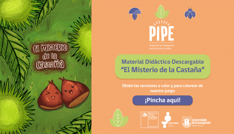 MATERIAL DIDÁCTICO DESCARGABLE