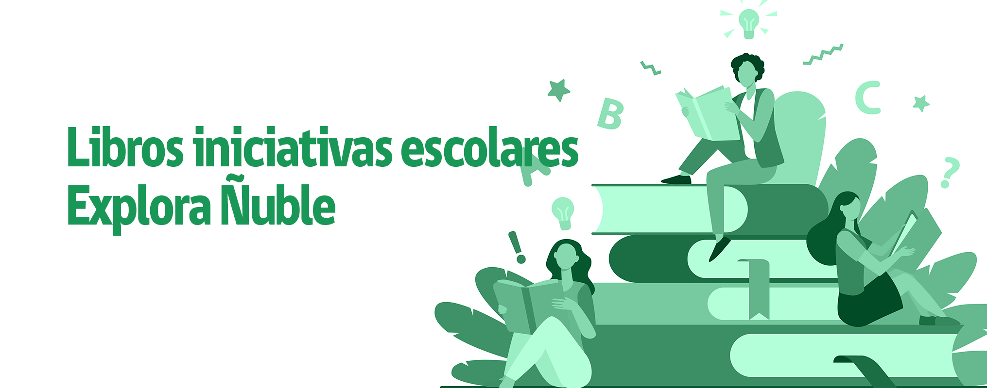 Libros de iniciativas escolares Explora Ñuble