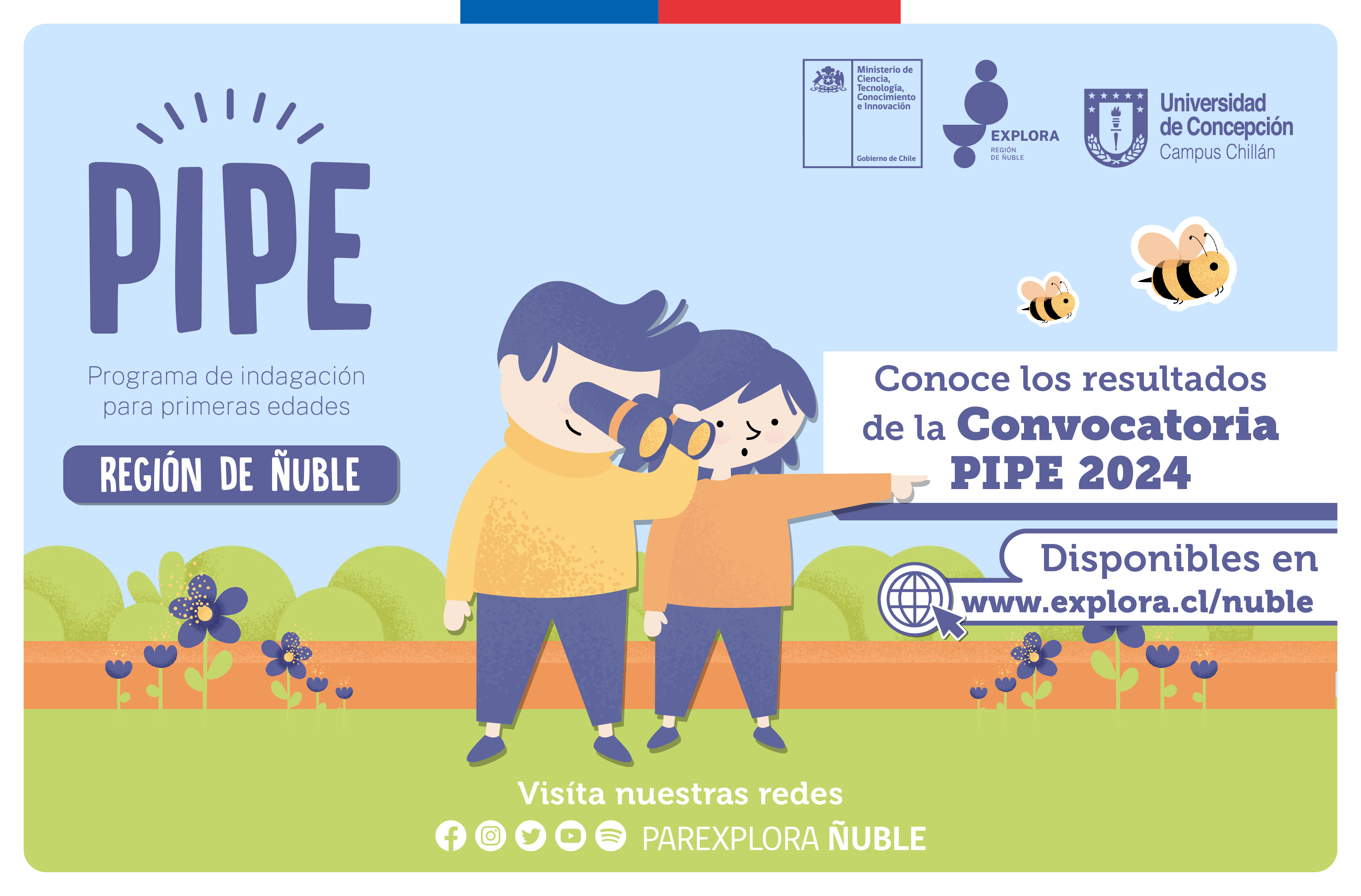 Conoce los resultados de la Convocatoria PIPE 2024