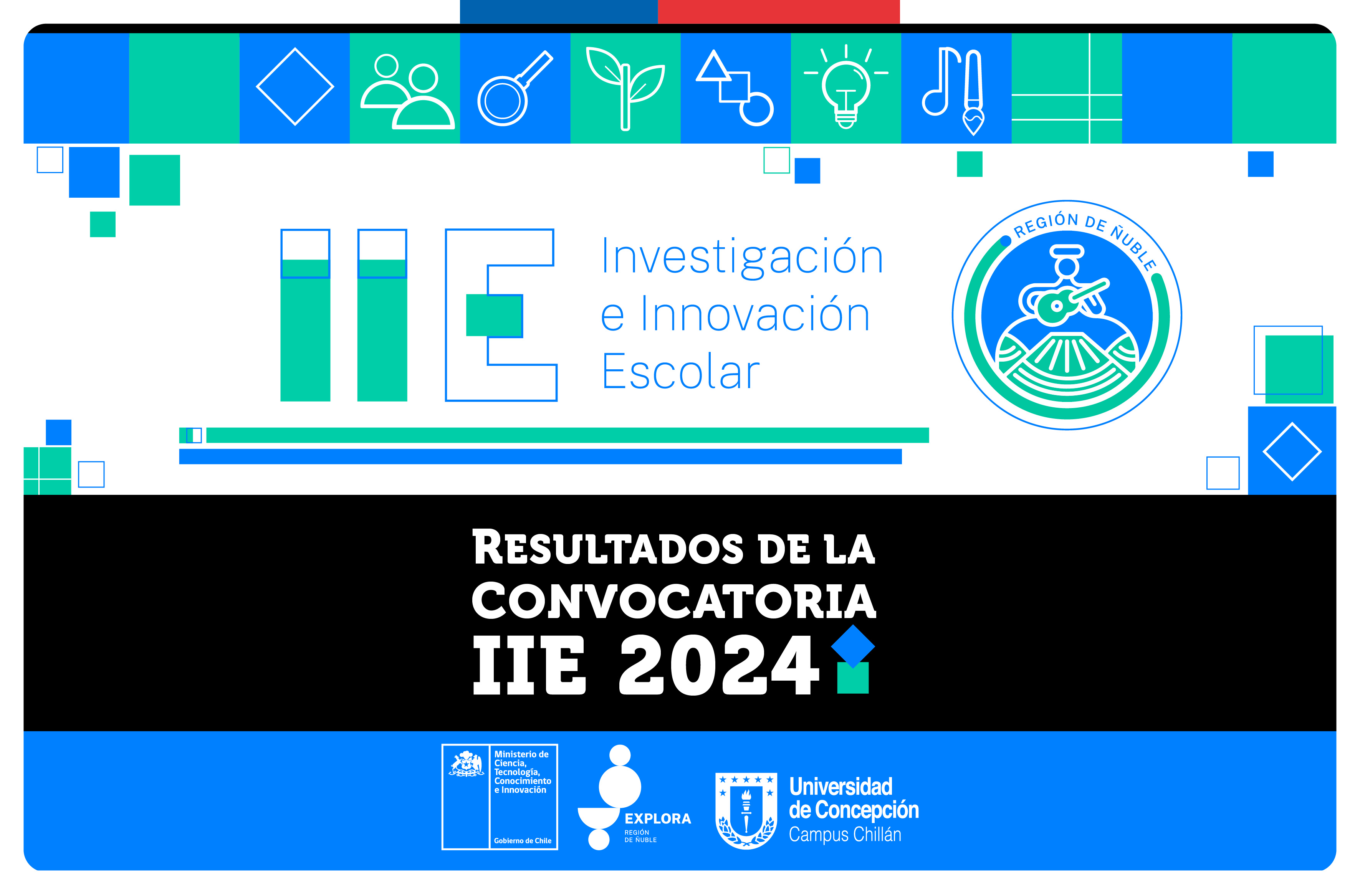 RESULTADOS DE LA CONVOCATORIA IIE 2024 REGIÓN DE ÑUBLE