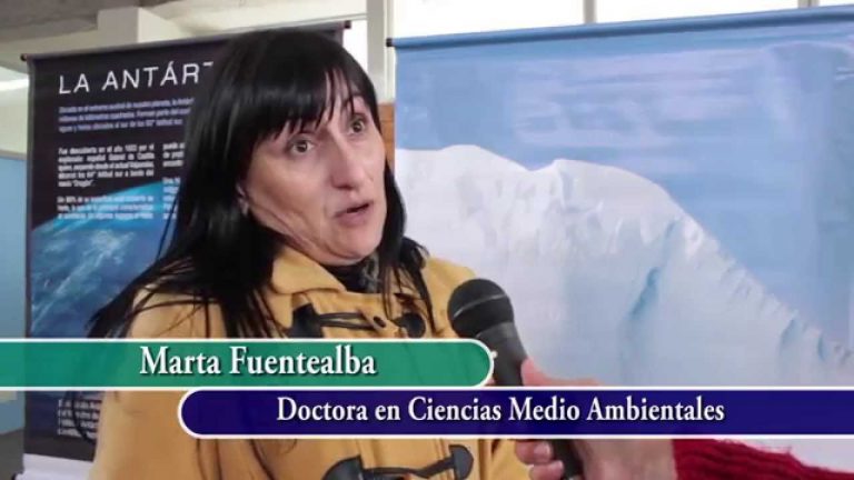 Videos prueba