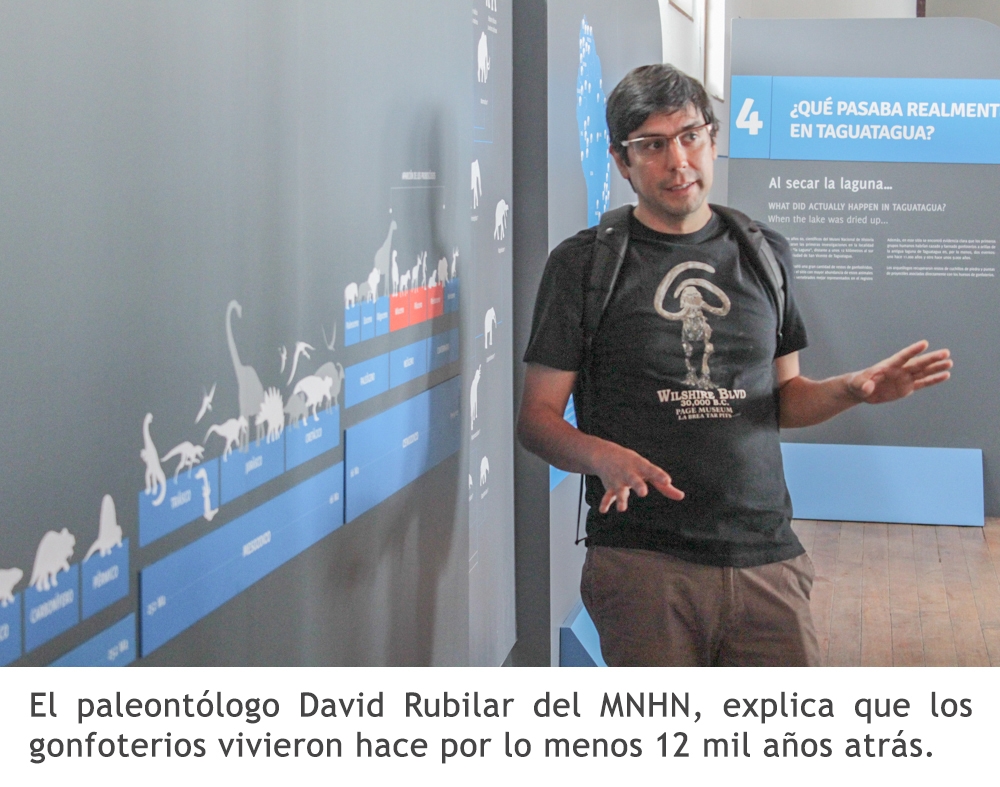 Stegomastodon Platensis: Ni mamut ni mastodonte, sino gonfoterio