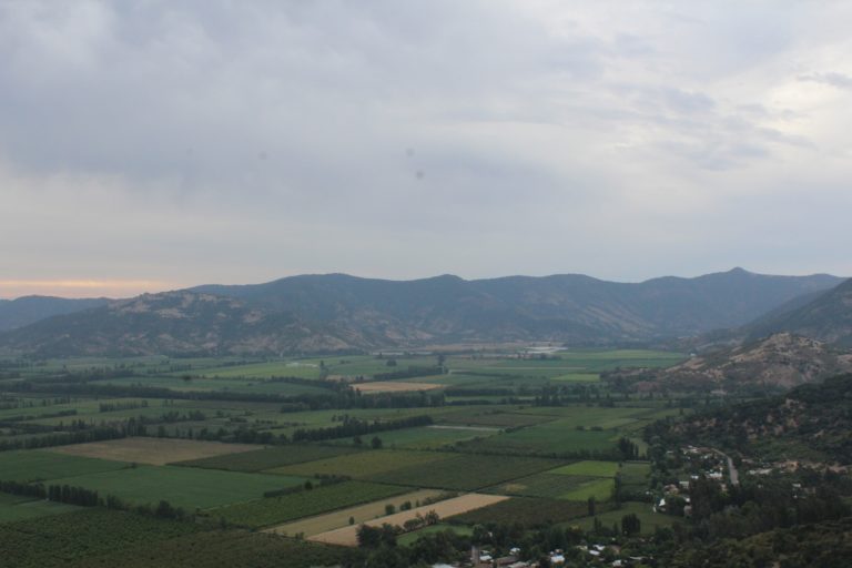 ¿Cómo afectará el cambio climático a la agricultura?