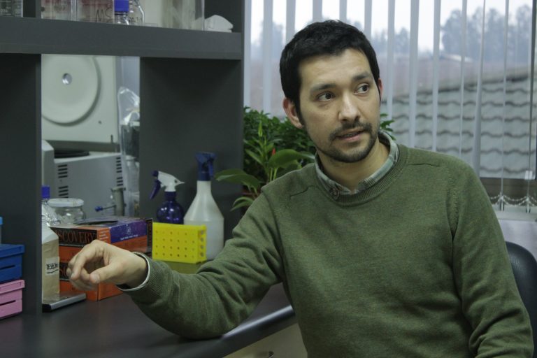 GABA: ¿una molécula protectora para las plantas frente a inundaciones?