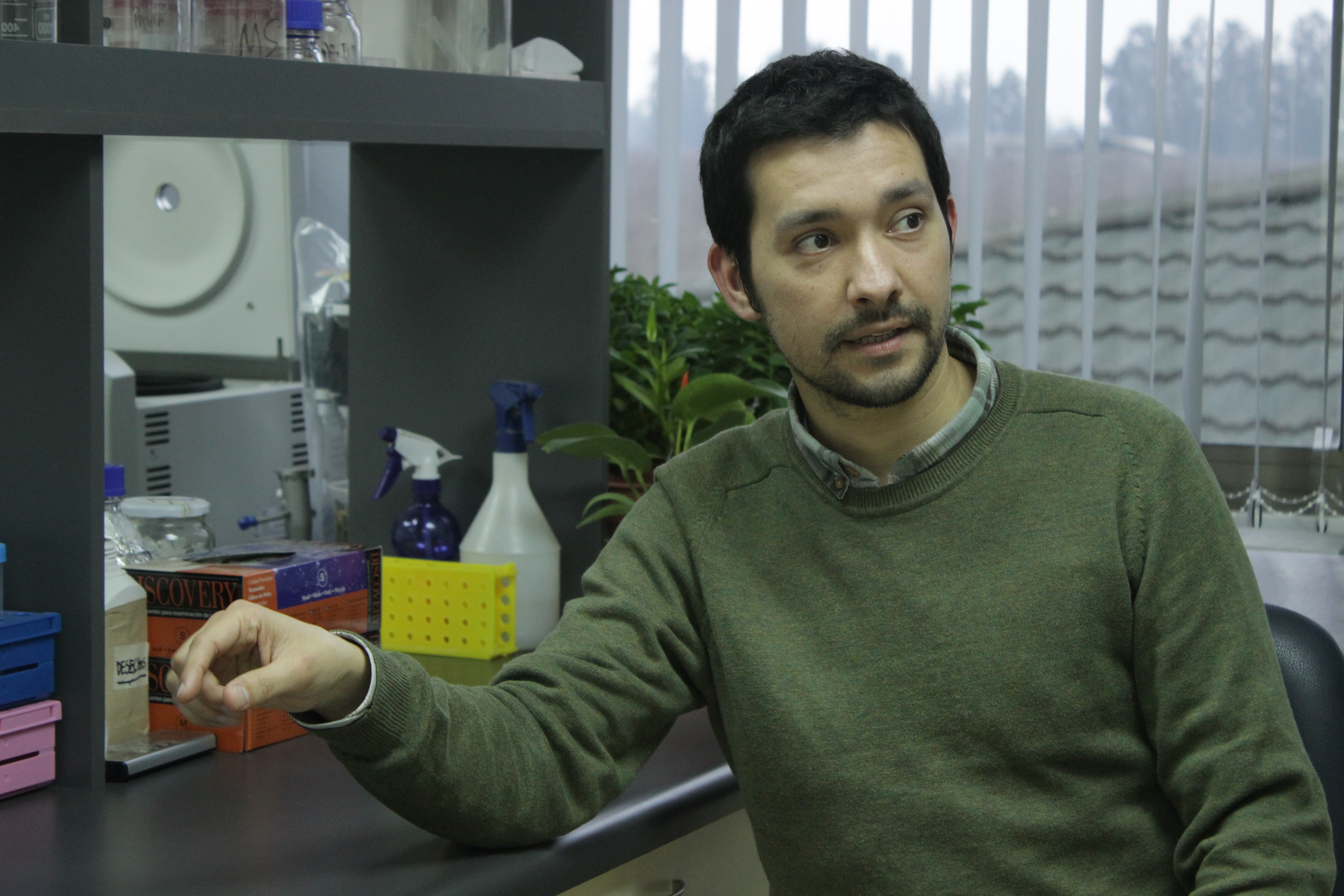 GABA: ¿una molécula protectora para las plantas frente a inundaciones?