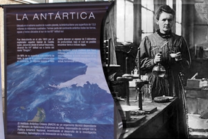 ¡Solicita nuestras muestras bidimensionales!