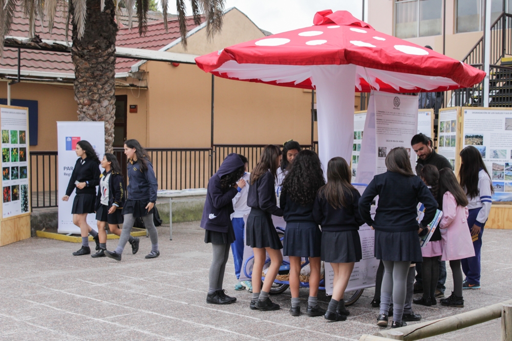 Fungiciclo realizará gira en Cardenal Caro