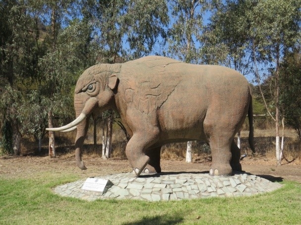 Escolares conocerán Ruta Científica: “Historia Natural Tagua Tagua”