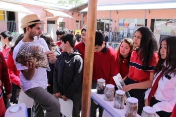 Fungiciclo dará a conocer reino de los hongos en Encuentro Cultural