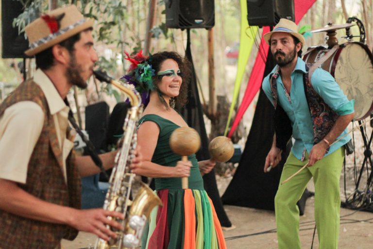 ¡Te invitamos a participar del Seminario por el Bosque Nativo en San Vicente!
