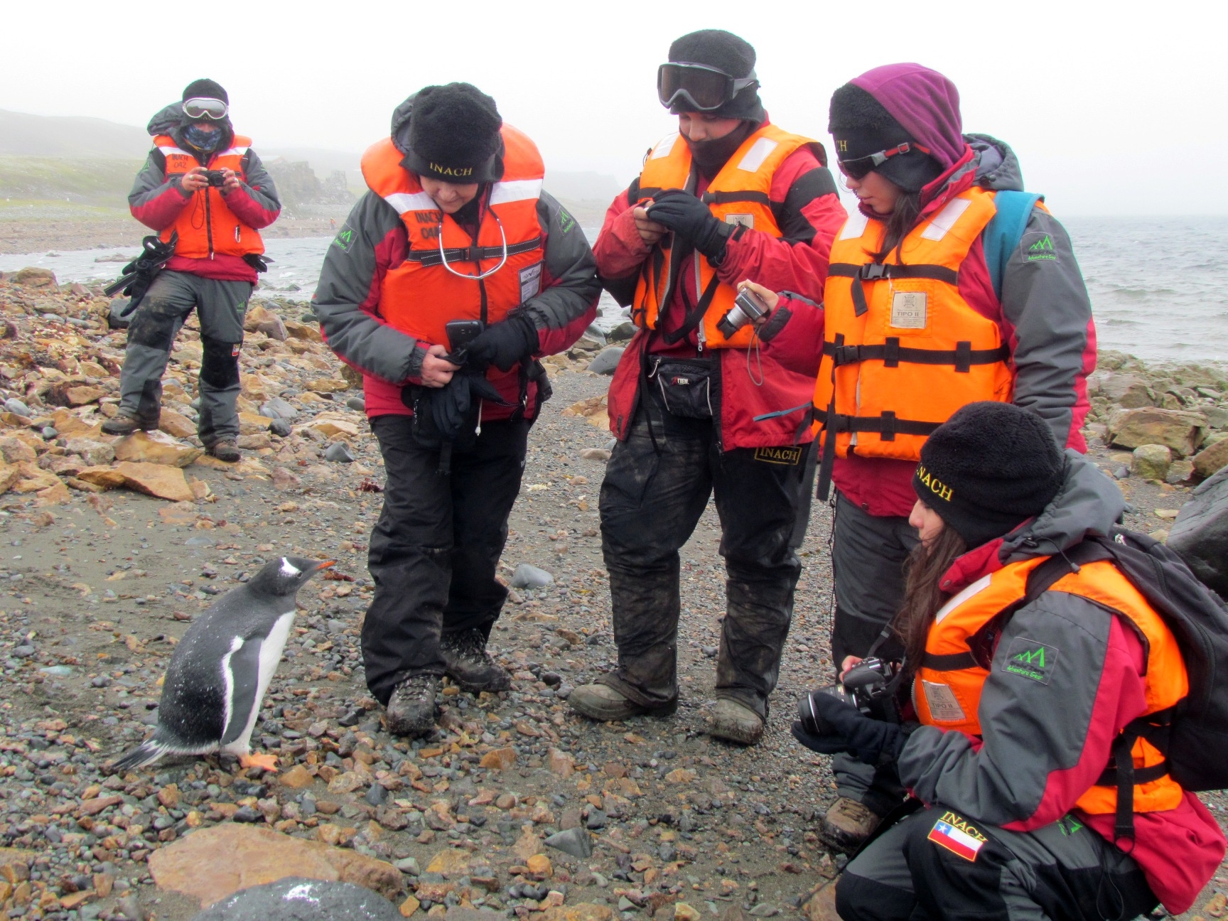 ¿Quieres ir a la Antártica? ¡Participa en la FAE 2015!