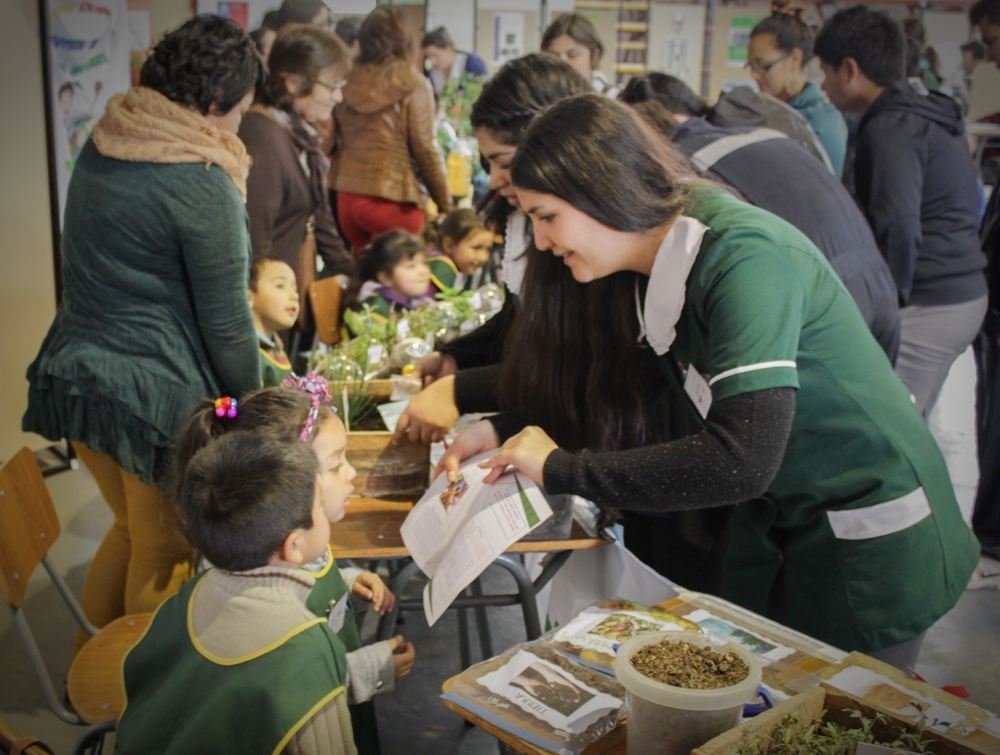 Proyectan trabajo con párvulos para 2015