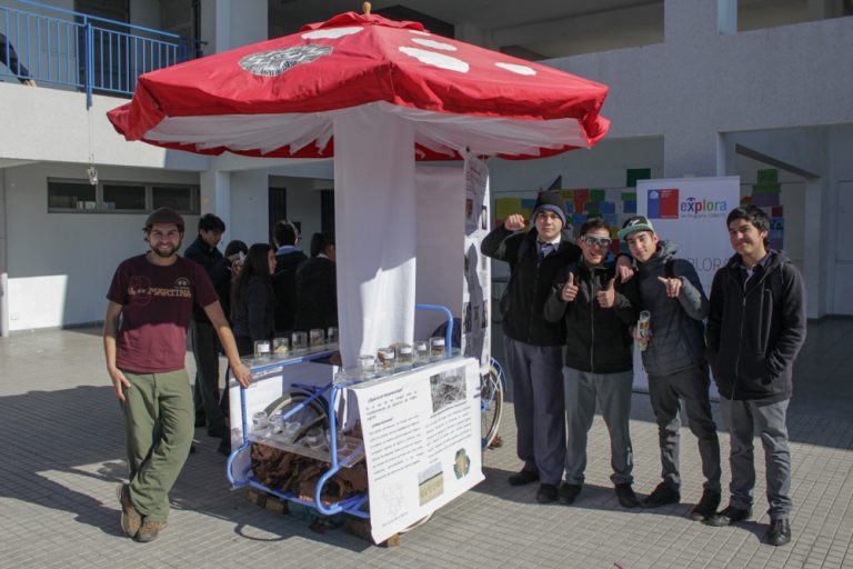 Fungiciclo, nuestra muestra Itinerante de Hongos