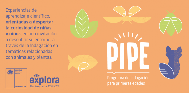 Atención! Seleccionadas Programa de Indagación para Primeras Edades (PIPE)