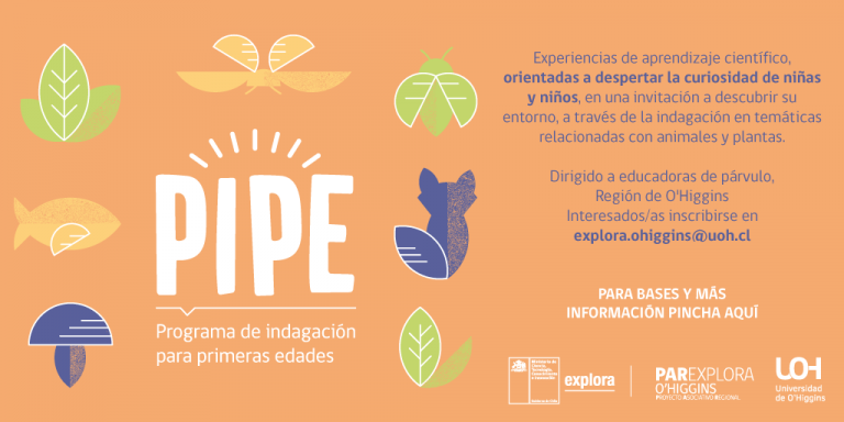 Se lanza concurso “Un Jingle para PIPE”