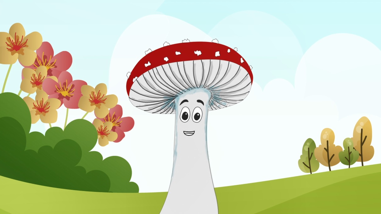 Nueve capítulos de ZETA para enseñar ciencias naturales a niños y niñas.