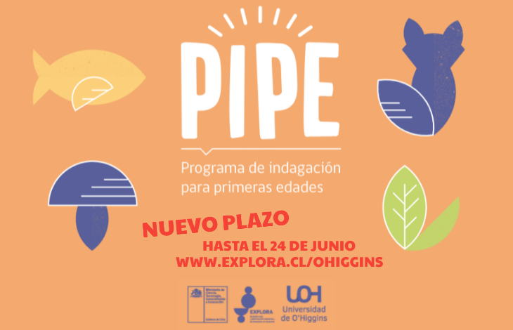 Se abre postulación para capacitación de docentes y técnicos/as en Educación Parvularia en el ámbito científico.