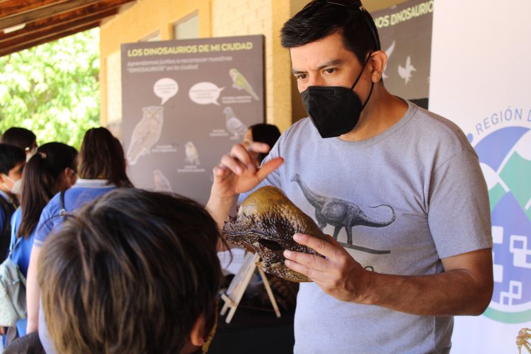 “Dinosaurios y gonfoterios en Tagua Tagua”: Un viaje en el tiempo