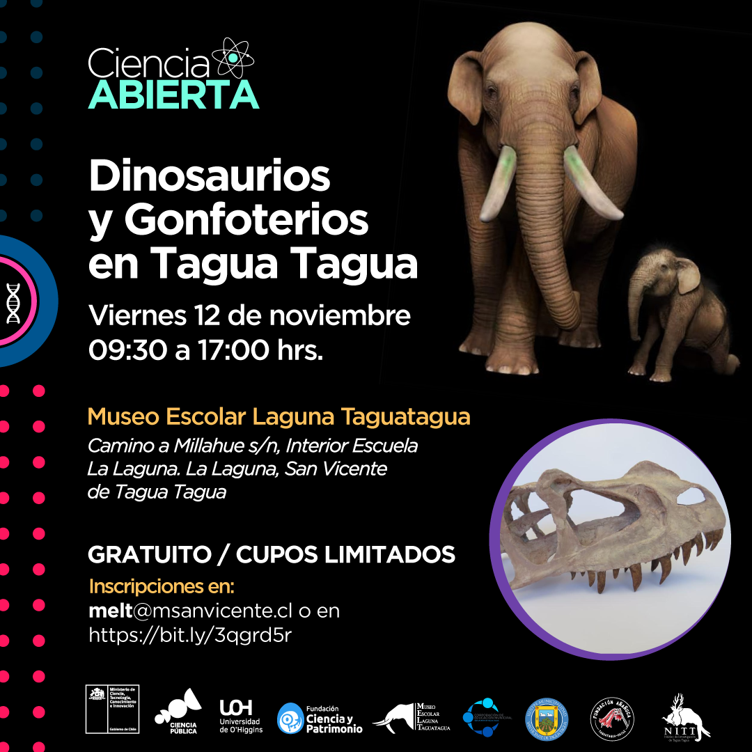 Muestra “Dinosaurios y gonfoterios en O´Higgins” se presentará en Tagua Tagua