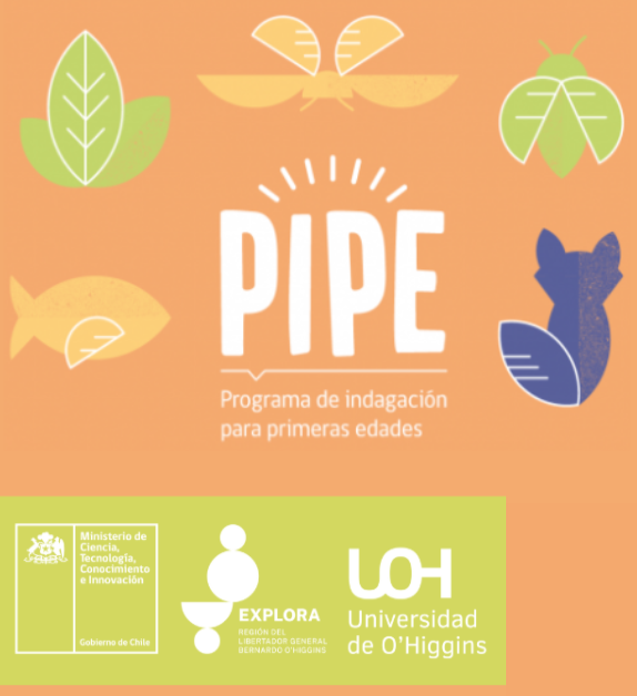 Lista de seleccionados para PIPE 2022