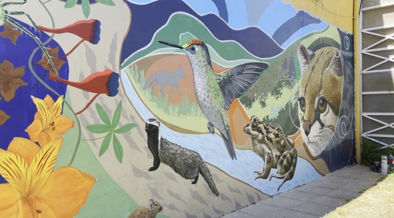 Estudiantes de Pichidegua pintaron mural científico en su escuela