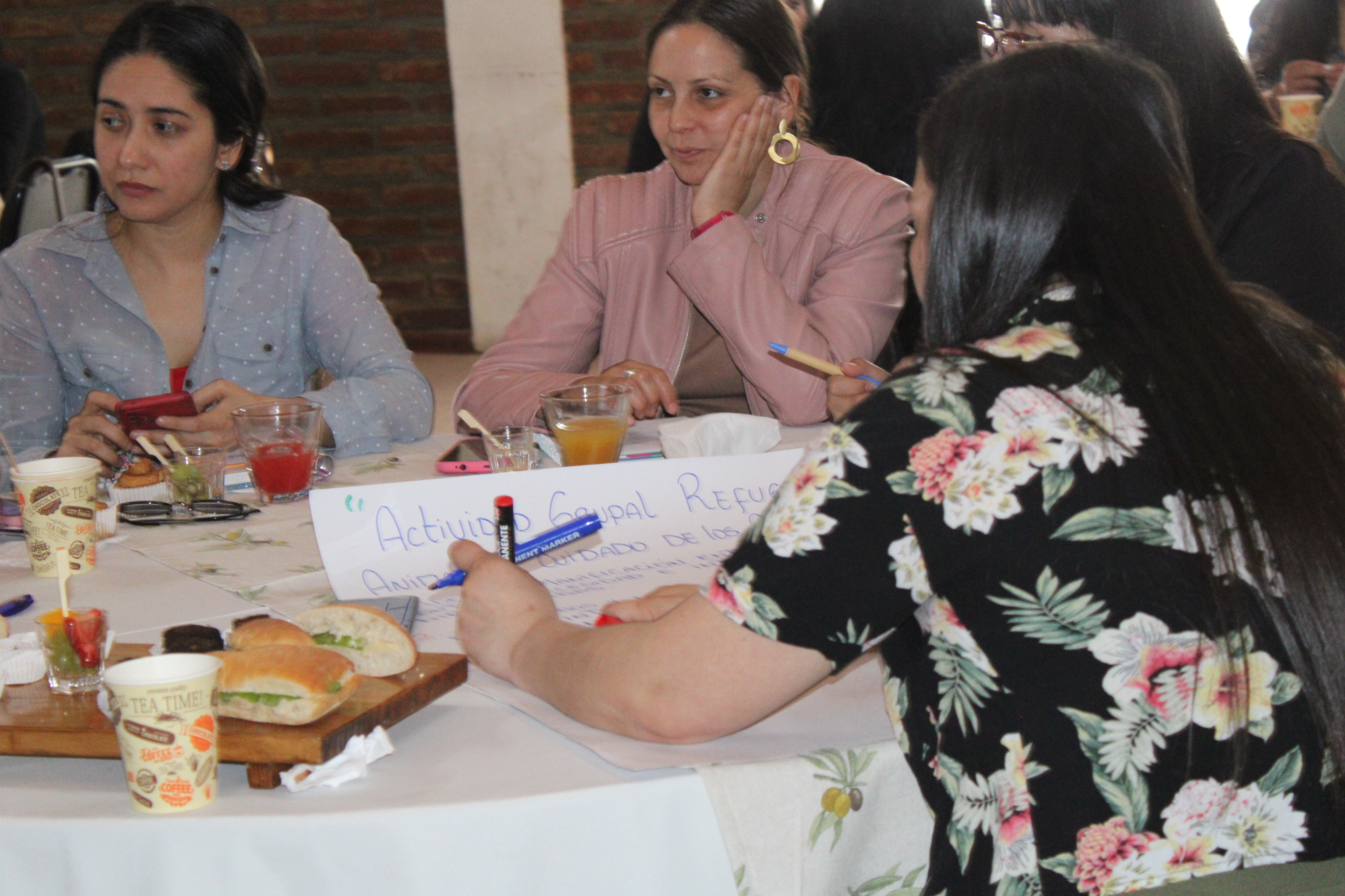 PIPE cerró su año 2024 con dos jornadas de socialización