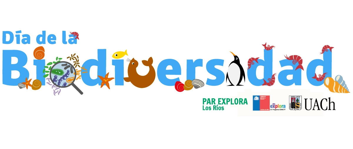 Quedan pocos cupos para celebrar el Día de la Biodiversidad con EXPLORA