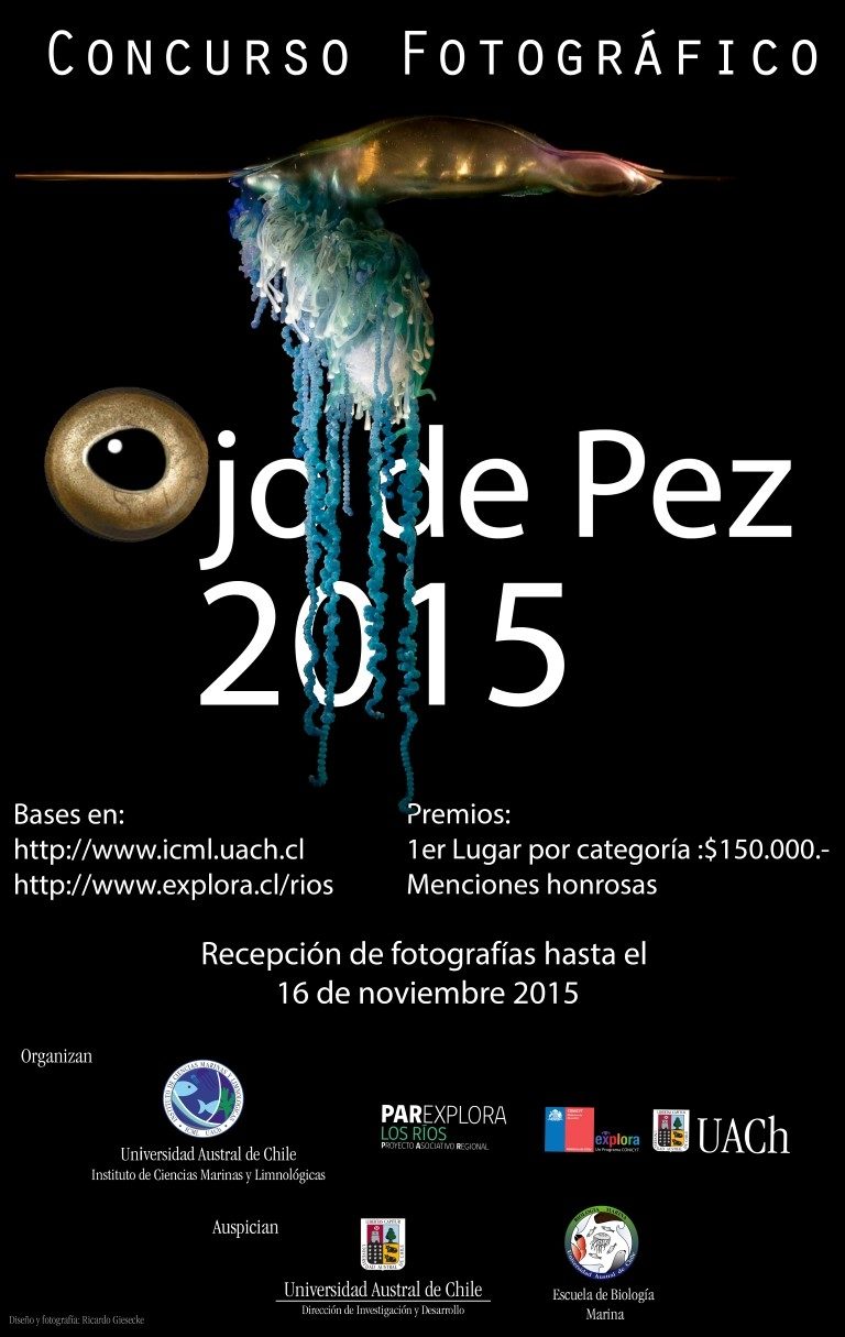 Buscan las mejores imágenes de paisajes y fauna acuática en Ojo de Pez 2015