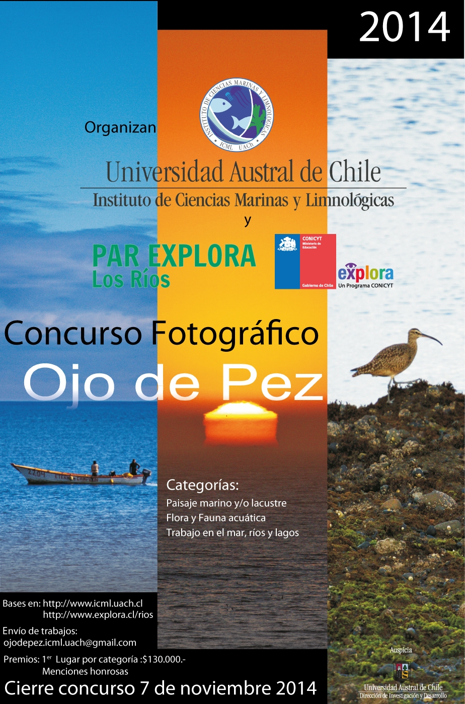 Concursa y Gana con “Ojo de Pez 2014”