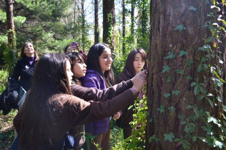 Estudiantes conocieron desde papas hasta museos en Laboratorios, Museos y Parques Abiertos