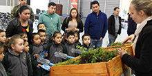Visita la Feria de la Sustentabilidad en el Parque Saval y ¡celebra la ciencia!